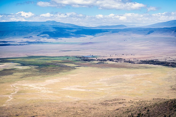 TZA ARU Ngorongoro 2016DEC23 021
